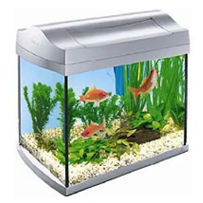 Большой выбор аквариумов в интернет-магазине ArovanAqua
