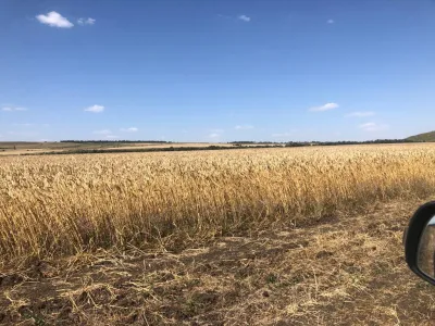 Продажа земли сельхозназначения Ставропольский край