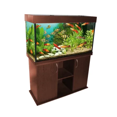 Большой выбор аквариумов в интернет-магазине ArovanAqua