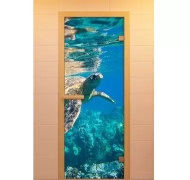 Изящные стеклянные двери в сауны