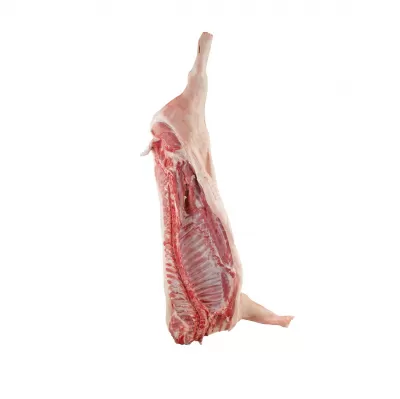 Мясо оптом, говядина, свинина, курица, субпродукты